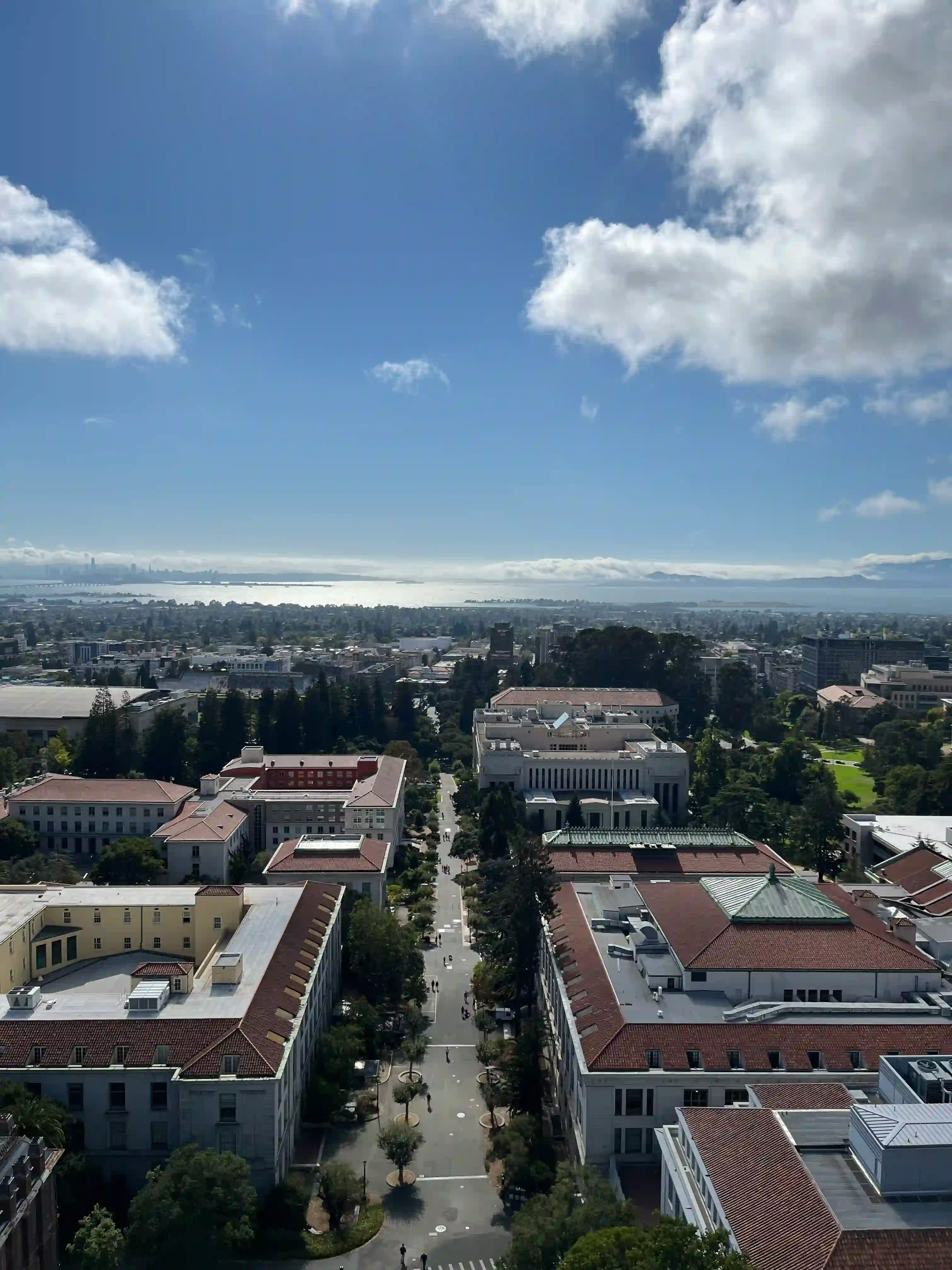 Why Haas Berkeley Stands Out: Bold Leadership & Global Opportunities